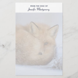 Cute Little Fox Curve Up Winter Photo Brevpapper