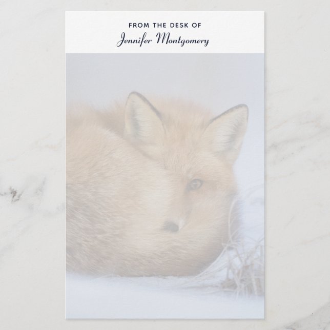 Cute Little Fox Curve Up Winter Photo Brevpapper (Framsida)