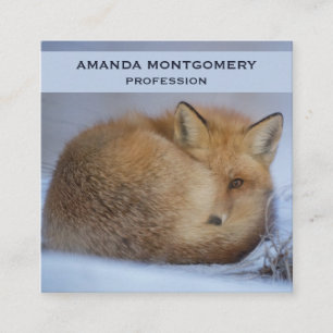 Cute Little Fox Curve Up Winter Photo Fyrkantigt Visitkort