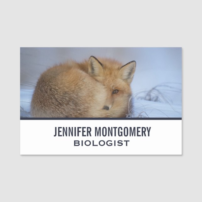 Cute Little Fox Curve Up Winter Photo Namnbricka (Framsida)