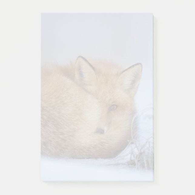 Cute Little Fox Curve Up Winter Photo Post-it Block (Framsida)