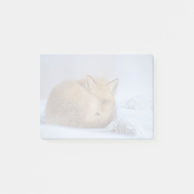 Cute Little Fox Curve Up Winter Photo Post-it Block (Framsida)