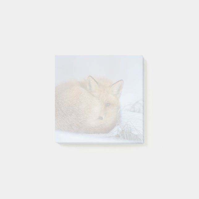 Cute Little Fox Curve Up Winter Photo Post-it Block (Framsida)