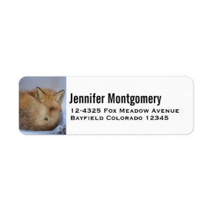 Cute Little Fox Curve Up Winter Photo Returadress Etikett