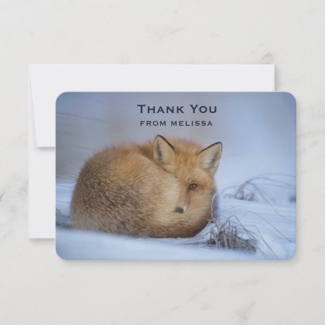 Cute Little Fox Curve Up Winter Photo Tack Kort (Framsida)