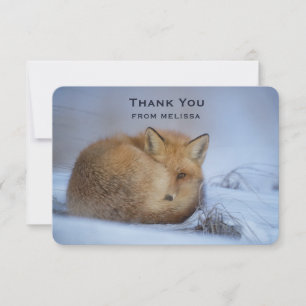 Cute Little Fox Curve Up Winter Photo Tack Kort