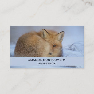 Cute Little Fox Curve Up Winter Photo Visitkort