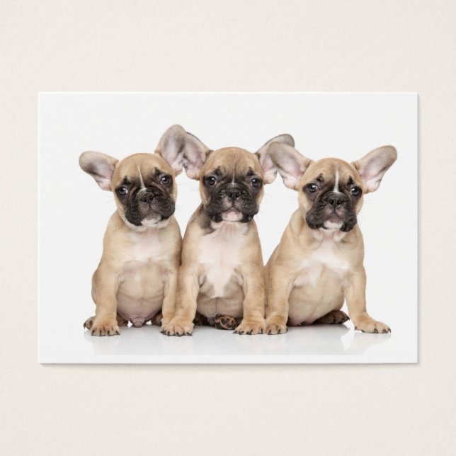 Cute Little Fransk Bulldog Visitkort (Framsidan)