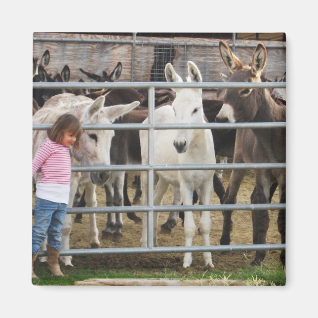 Cute Little Girl and Donkey Magnet (Framsidan)