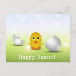 Cute Little Glad påsk Baby Chick Helg Vykort