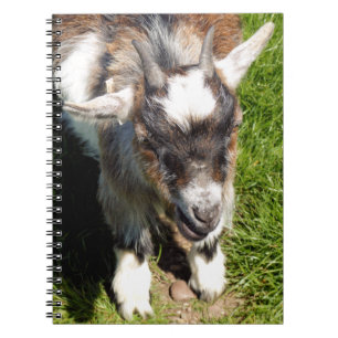 CUTE LITTLE GOAT ANTECKNINGSBOK