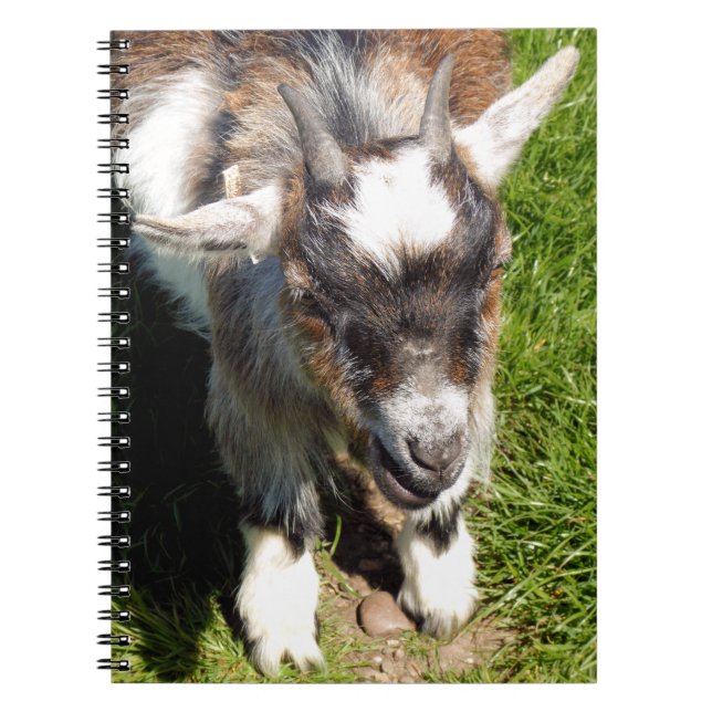 CUTE LITTLE GOAT ANTECKNINGSBOK (Framsidan)