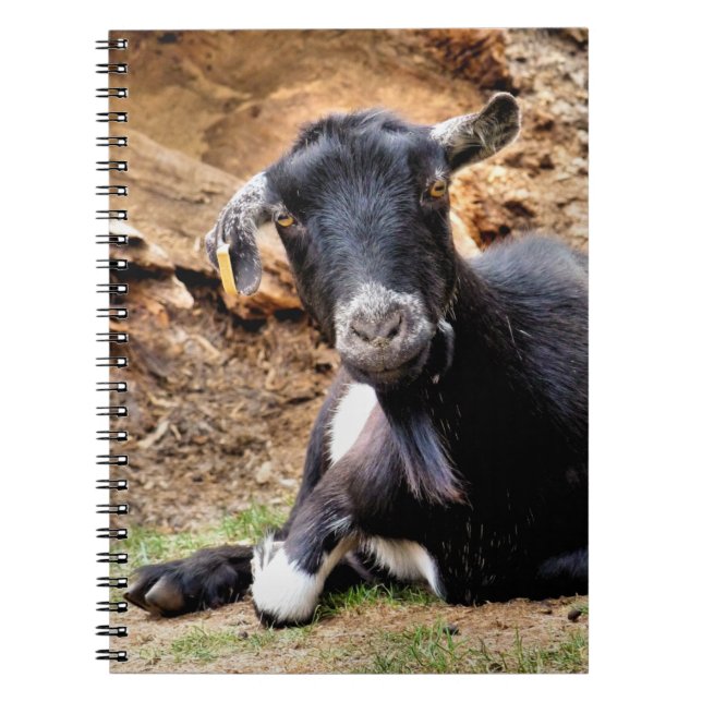 CUTE LITTLE GOAT ANTECKNINGSBOK MED SPIRAL (Framsidan)