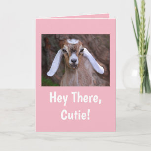 Cute Little Goat Birthday Kort