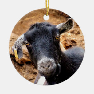 CUTE LITTLE GOAT JULGRANSPRYDNAD KERAMIK