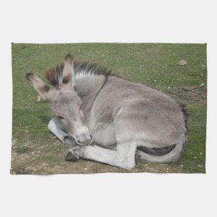 Cute Little Grått Donkey Baby Foal Fastdown Kökshandduk