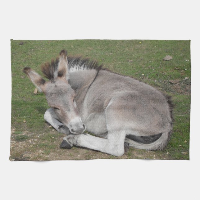 Cute Little Grått Donkey Baby Foal Fastdown Kökshandduk (Horisontell)