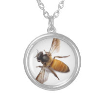 Cute Little honey Bee
