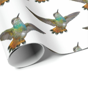 Cute Little Hummingbird Bird Wildlife Presentpapper