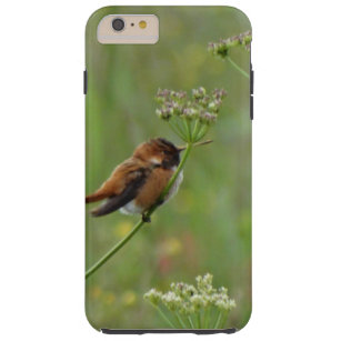 Cute Little Hummingbird Tough iPhone 6 Plus Skal