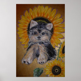 Cute Little Hund och Solblommor Poster