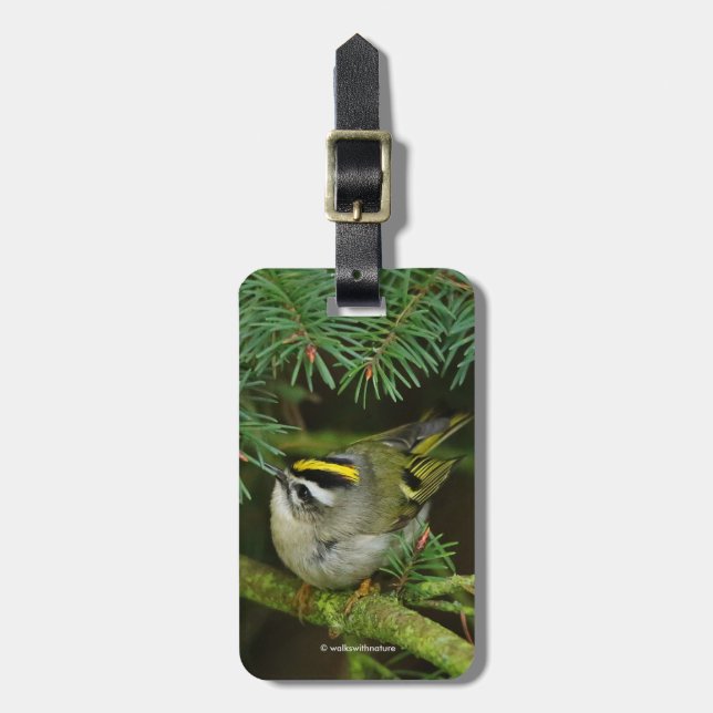 Cute Little Kinglet orsakar en stam i bron Bagagebricka (Vertikal Framsida)