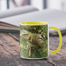 Cute Little Kinglet orsakar en stam i bron Mugg