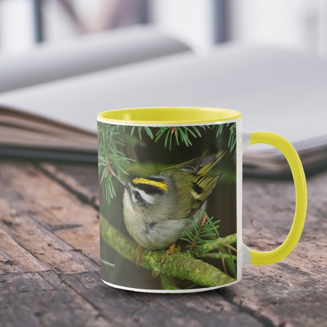 Cute Little Kinglet orsakar en stam i bron Mugg (Golden-Crowned Kinglet Causing a Stir in the Fir 11 oz Coffee Mug Cover Photo 1.)