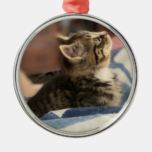 Cute Little Kitten Personlig Photo jul Julgransprydnad Metall