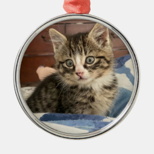 Cute Little Kitten Personlig Photo jul Julgransprydnad Metall