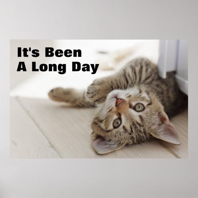 Cute Little Kitten Poster (Framsidan)