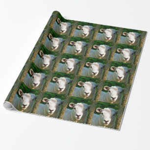CUTE LITTLE LAMB PRESENTPAPPER