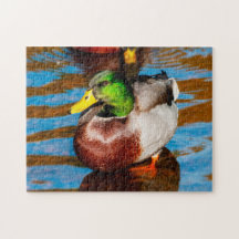 Cute Little Mallard Anka Jigszle puzzle