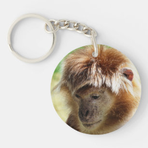 CUTE LITTLE MONKEY