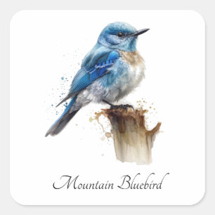 Cute Little Mountain Bluebird Watercolor, anpassni Fyrkantigt Klistermärke