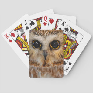 Cute Little Northern Saw Whet Uggla Casinokort