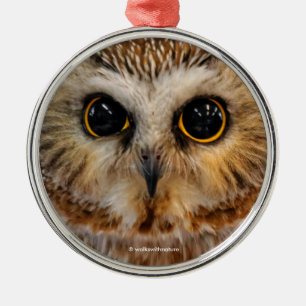 Cute Little Northern Saw Whet Uggla Julgransprydnad Metall