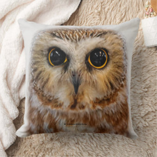 Cute Little Northern Saw Whet Uggla Kudde