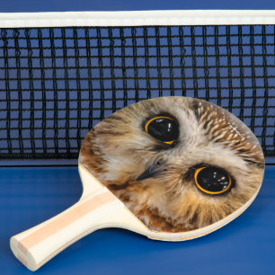Cute Little Northern Saw Whet Uggla Pingisracket