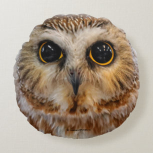 Cute Little Northern Saw Whet Uggla Rund Kudde