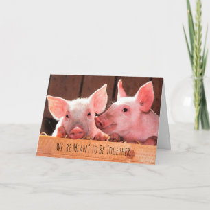 Cute Little Piggies Gris Piglets Kärlek Kort