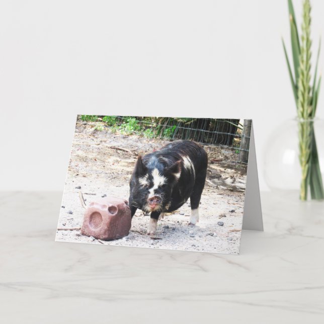 Cute Little Piggy - Farm Life Greeting Card Kort (Framsida)