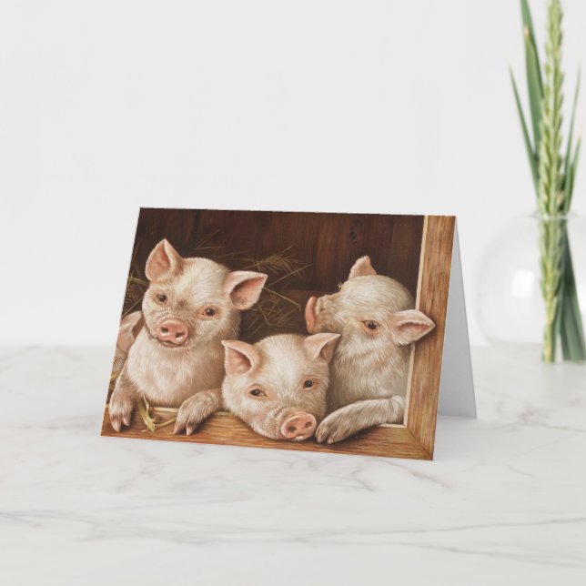 Cute little piglets in a barn at the farm kort (Framsida)