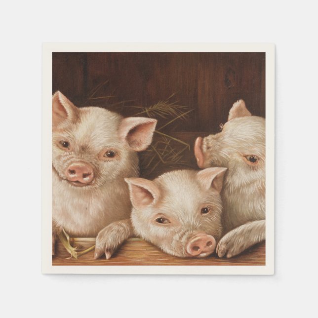 Cute little piglets in a barn at the farm pappersservett (Framsidan)