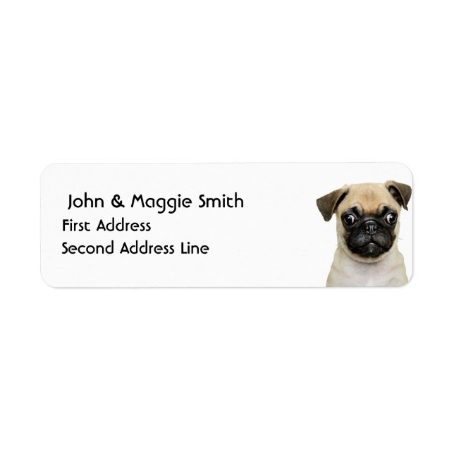 Cute Little Pug Puppy Hund Pet Animal Returadress Etikett (Framsidan)