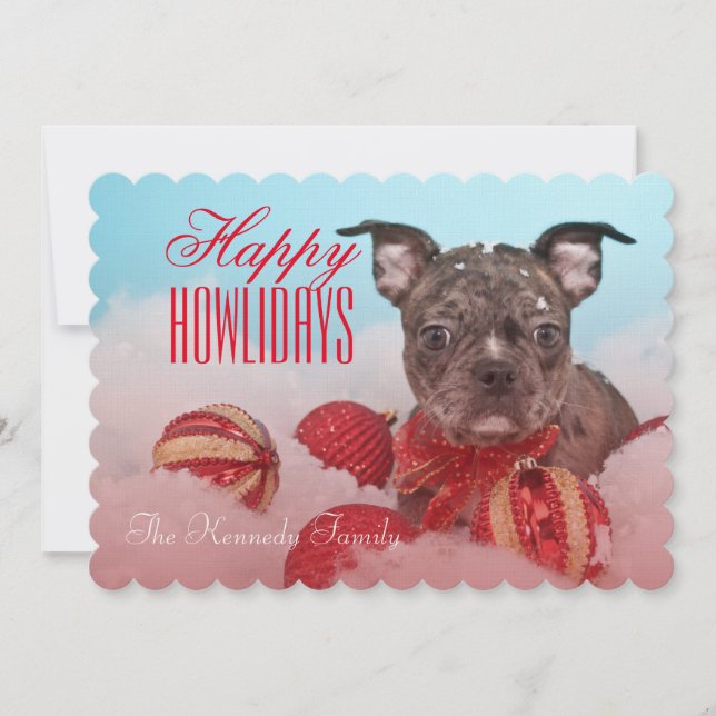 Cute Little Puppy (Framsida)