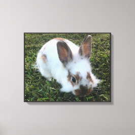 Cute Little Rabbit i Grass-Kanvastrycket Canvastryck