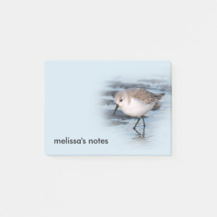 Cute Little Sanderling vid Beach Post-it Block