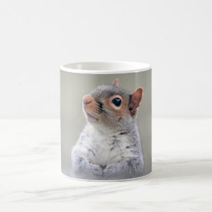 Cute Little Soft and Fluffy Grått Squirrel Kaffemugg
