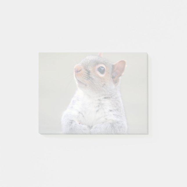 Cute Little Soft and Fluffy Grått Squirrel Post-it Block (Framsida)